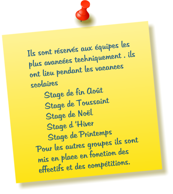 Ils sont réservés aux équipes les plus avancées techniquement . ils ont lieu pendant les vacances scolaires      Stage de fin Août      Stage de Toussaint      Stage de Noël       Stage d ‘Hiver      Stage de Printemps Pour les autres groupes ils sont mis en place en fonction des effectifs et des compétitions.